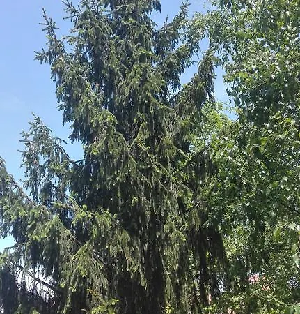 Apartamento Zurbaran Irun Exterior foto